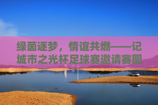 绿茵逐梦,情谊共燃——记城市之光杯足球赛邀请赛圆满落幕