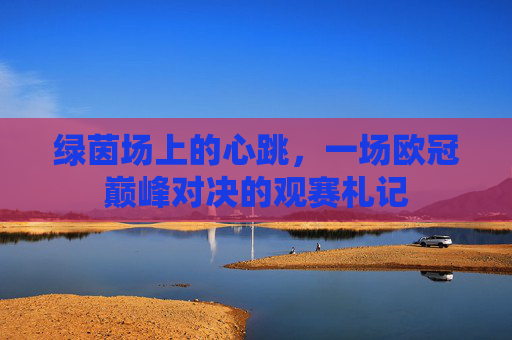 绿茵场上的心跳,一场欧冠巅峰对决的观赛札记