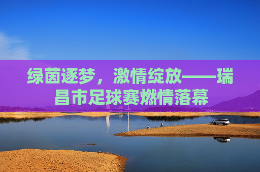 绿茵逐梦,激情绽放——瑞昌市足球赛燃情落幕