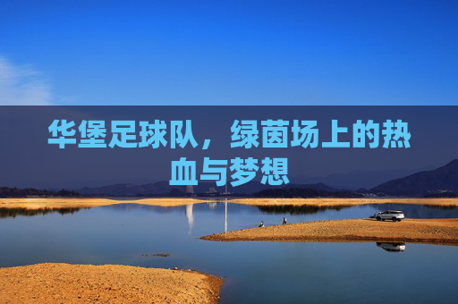 华堡足球队,绿茵场上的热血与梦想