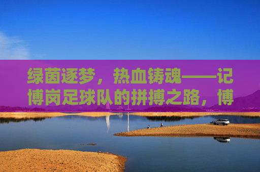 绿茵逐梦，热血铸魂——记博岗足球队的拼搏之路，博岗足球队，绿茵逐梦，热血铸魂