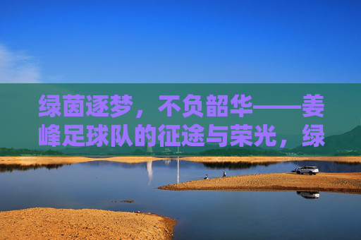 绿茵逐梦,不负韶华——姜峰足球队的征途与荣光,绿茵逐梦,不负韶华——姜峰足球队的征途荣光