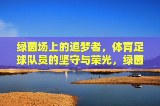 绿茵场上的追梦者，体育足球队员的坚守与荣光，绿茵追梦者，足球场上的坚守与荣光