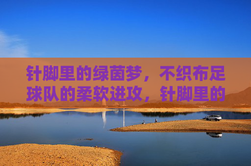 针脚里的绿茵梦，不织布足球队的柔软进攻，针脚里的绿茵梦，不织布足球队的柔软进攻