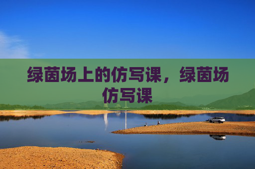 绿茵场上的仿写课，绿茵场仿写课