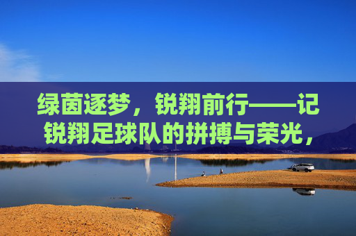 绿茵逐梦，锐翔前行——记锐翔足球队的拼搏与荣光，锐翔逐梦，拼搏铸就荣光