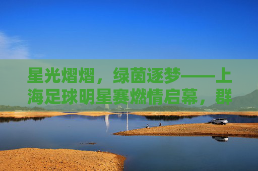 星光熠熠，绿茵逐梦——上海足球明星赛燃情启幕，群星闪耀共筑申城足球梦，星光耀绿茵，逐梦申城——上海足球明星赛燃情启幕
