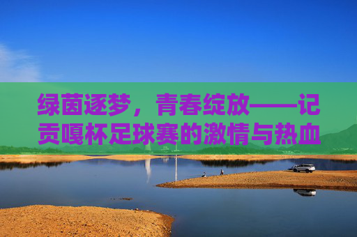 绿茵逐梦,青春绽放——记贡嘎杯足球赛的激情与热血,绿茵逐梦,青春绽放——贡嘎杯足球赛的激情与热血