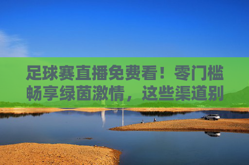 足球赛直播免费看!零门槛畅享绿茵激情,这些渠道别错过,足球直播免费看!零门槛畅享绿茵激情,这些渠道别错过