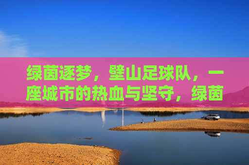 绿茵逐梦，壁山足球队，一座城市的热血与坚守，绿茵逐梦，壁山足球队，一座城市的热血坚守