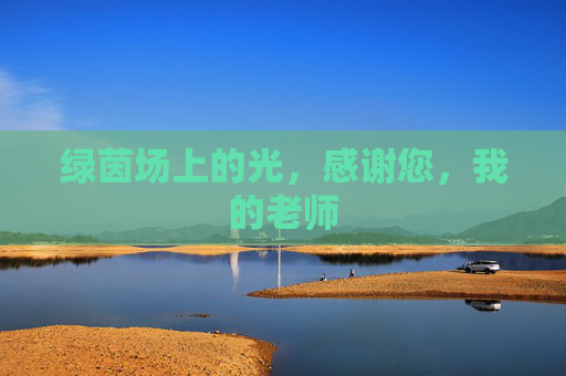绿茵场上的光,感谢您,我的老师
