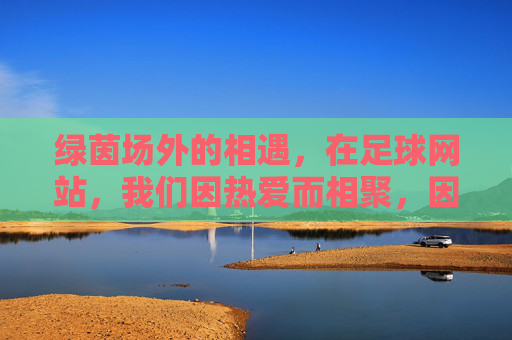 绿茵场外的相遇，在足球网站，我们因热爱而相聚，因热爱，绿茵场外相遇