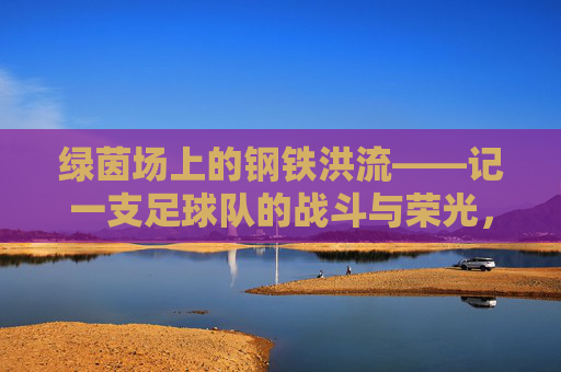绿茵场上的钢铁洪流——记一支足球队的战斗与荣光,钢铁洪流,绿茵场上的战斗与荣光