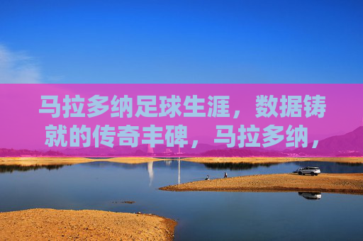 马拉多纳足球生涯，数据铸就的传奇丰碑，马拉多纳，数据铸就的足球传奇