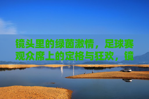 镜头里的绿茵激情，足球赛观众席上的定格与狂欢，镜头定格绿茵激情，观众席上的狂欢瞬间