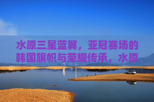 水原三星蓝翼,亚冠赛场的韩国旗帜与荣耀传承,水原三星蓝翼,亚冠赛场的韩国旗帜与荣耀传承