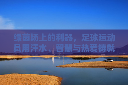绿茵场上的利器，足球运动员用汗水、智慧与热爱铸就传奇，汗水、智慧与热爱，绿茵场上的足球传奇