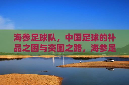 海参足球队,中国足球的补品之困与突围之路,海参足球队,中国足球补品之困的突围之路