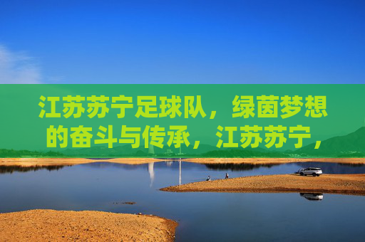 江苏苏宁足球队,绿茵梦想的奋斗与传承,江苏苏宁,绿茵梦想的奋斗与传承