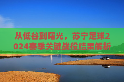 从低谷到曙光,苏宁足球2024赛季关键战役结果解析,从低谷到曙光,苏宁足球2024赛季关键战役结果解析