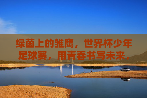 绿茵上的雏鹰,世界杯少年足球赛,用青春书写未来,雏鹰绿茵逐梦,世界杯少年书写未来