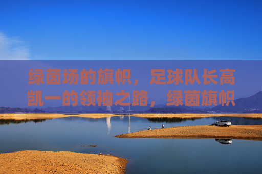 绿茵场的旗帜,足球队长高凯一的领袖之路,绿茵旗帜,高凯一的领袖之路