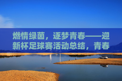 燃情绿茵，逐梦青春——迎新杯足球赛活动总结，青春逐梦，绿茵燃情——迎新杯足球赛活动总结