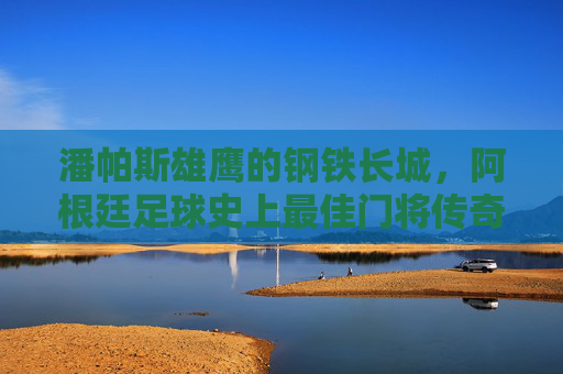 潘帕斯雄鹰的钢铁长城，阿根廷足球史上最佳门将传奇，潘帕斯雄鹰的钢铁长城，阿根廷足球史上最佳门将传奇