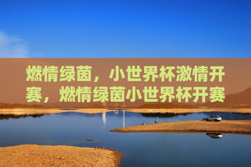 燃情绿茵,小世界杯激情开赛,燃情绿茵小世界杯开赛