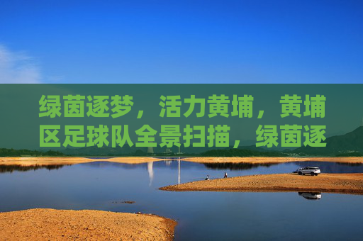 绿茵逐梦,活力黄埔,黄埔区足球队全景扫描,绿茵逐梦,活力黄埔,黄埔区足球队全景扫描