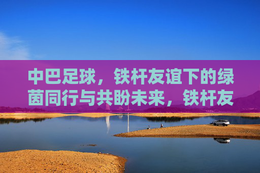 中巴足球,铁杆友谊下的绿茵同行与共盼未来,铁杆友谊绿茵路,中巴足球同行共盼未来