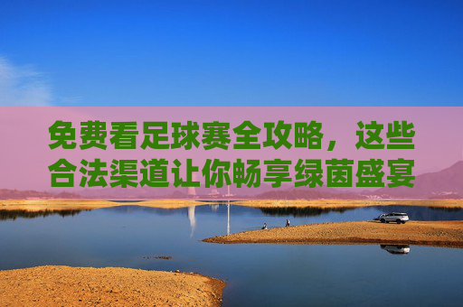 免费看足球赛全攻略，这些合法渠道让你畅享绿茵盛宴，免费看足球赛合法全攻略，畅享绿茵盛宴