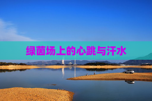 绿茵场上的心跳与汗水