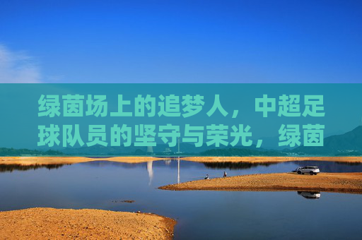 绿茵场上的追梦人,中超足球队员的坚守与荣光,绿茵追梦人,中超足球队员的坚守与荣光
