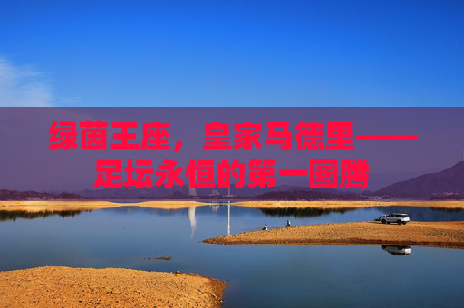 绿茵王座,皇家马德里——足坛永恒的第一图腾