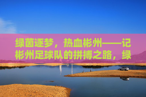 绿茵逐梦，热血彬州——记彬州足球队的拼搏之路，绿茵逐梦，热血拼搏——彬州足球队征途