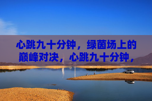 心跳九十分钟,绿茵场上的巅峰对决,心跳九十分钟,绿茵巅峰对决