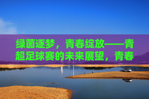 绿茵逐梦，青春绽放——青超足球赛的未来展望，青春逐梦，青超足球赛未来展望