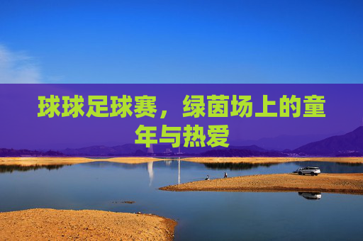 球球足球赛,绿茵场上的童年与热爱