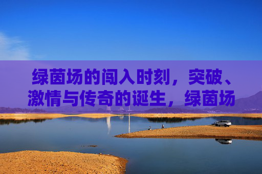 绿茵场的闯入时刻，突破、激情与传奇的诞生，绿茵场闯入时刻，突破激情铸就传奇