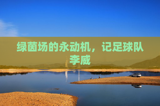 绿茵场的永动机,记足球队李威