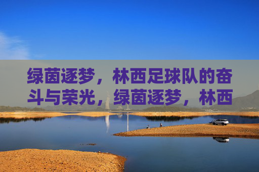 绿茵逐梦,林西足球队的奋斗与荣光,绿茵逐梦,林西足球队的奋斗荣光
