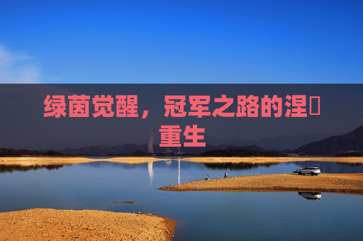 绿茵觉醒,冠军之路的涅槃重生