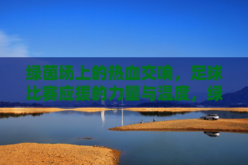 绿茵场上的热血交响,足球比赛应援的力量与温度,绿茵应援,热血交响的力量与温度