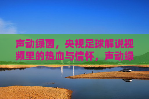 声动绿茵,央视足球解说视频里的热血与情怀,声动绿茵,央视足球解说的热血与情怀