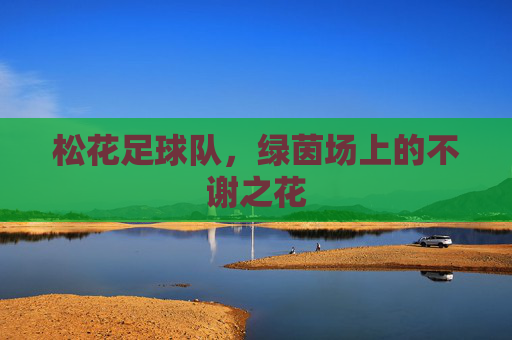 松花足球队,绿茵场上的不谢之花