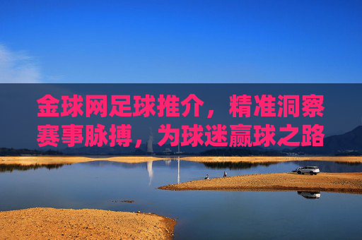 金球网足球推介,精准洞察赛事脉搏,为球迷赢球之路保驾护航,金球网足球推介,精准洞察赛事脉搏,护航球迷赢球之路