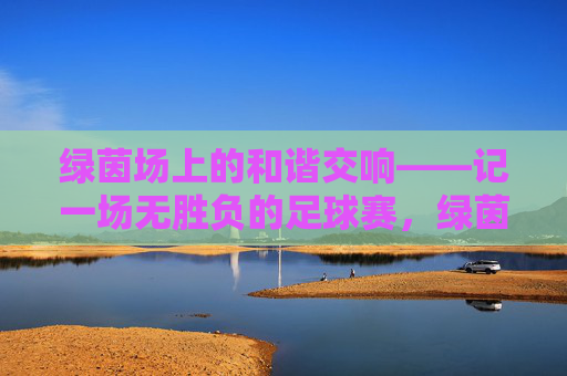 绿茵场上的和谐交响——记一场无胜负的足球赛,绿茵场上的和谐无胜负之战