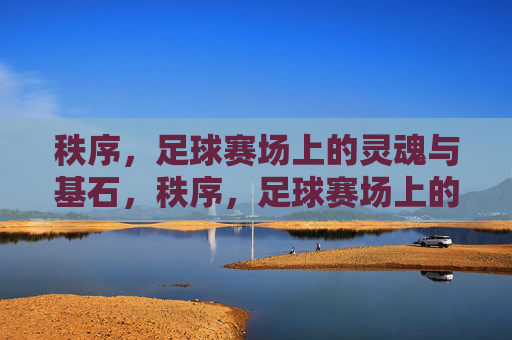 秩序,足球赛场上的灵魂与基石,秩序,足球赛场上的灵魂与基石