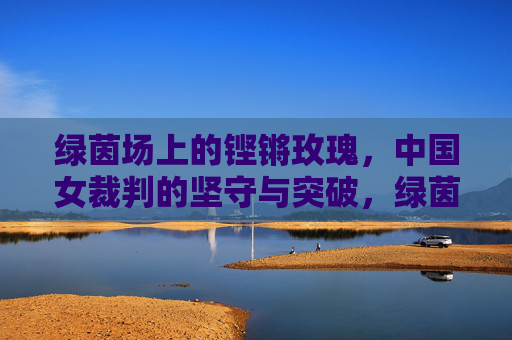 绿茵场上的铿锵玫瑰，中国女裁判的坚守与突破，绿茵铿锵玫瑰，中国女裁判的坚守与突破